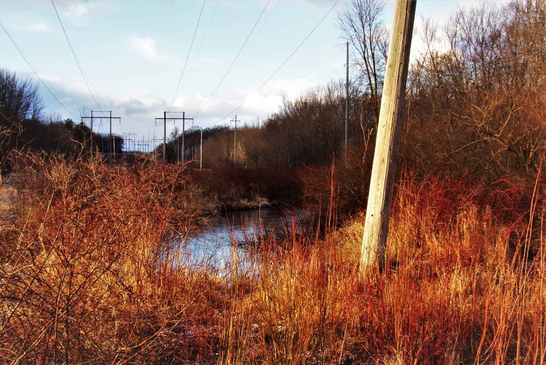 Have you ever wondered about undergrounding utility lines?