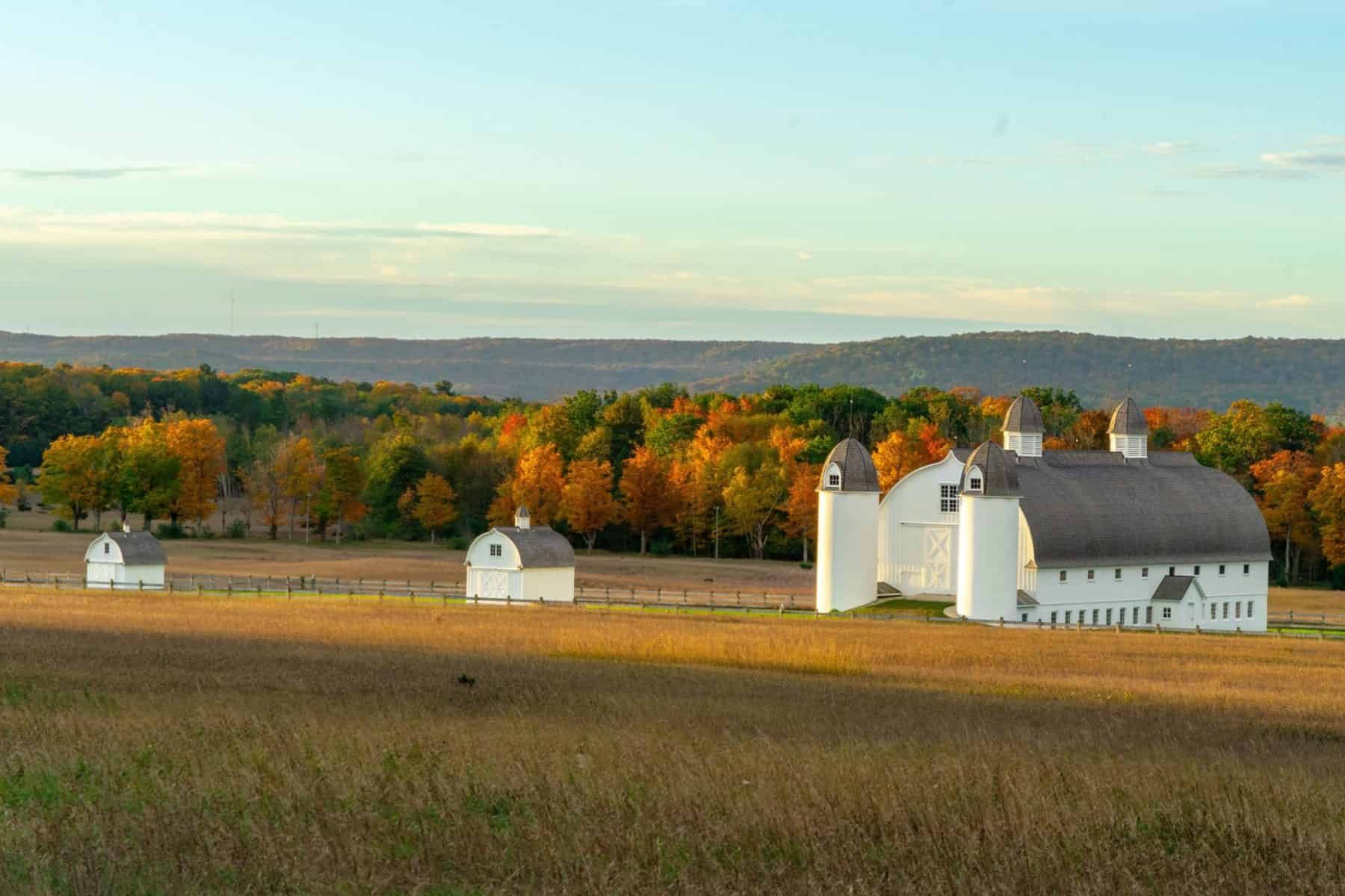 Credit: Kathy Dorsey | Scenic Landscapes (Glen Arbor)